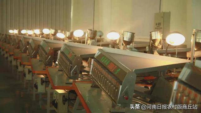 柘易倍体育 EMC易倍城：瞄准金刚石全产业链高质量发展(图1)