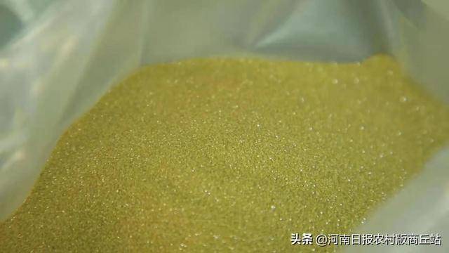 柘易倍体育 EMC易倍城：瞄准金刚石全产业链高质量发展(图2)